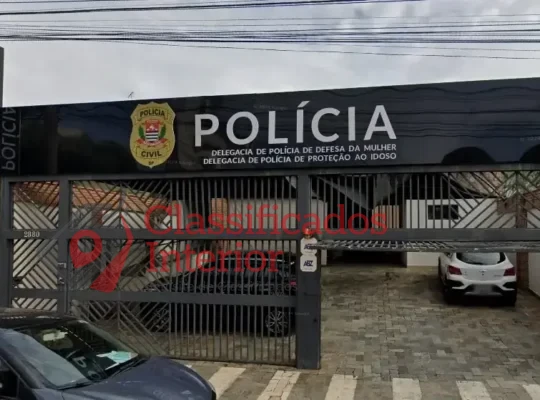 Casais trocam socos no Conselho Tutelar, em Rio Preto
