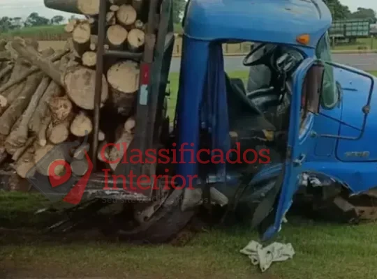Motorista perde controle de caminhão, passageiros são arremessados e um deles morre em José Bonifácio