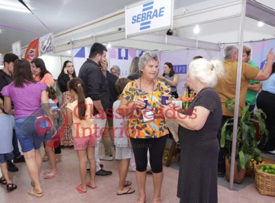Decola 2026 abre oportunidades para empresas da região ampliarem mercados com apoio do Sebrae