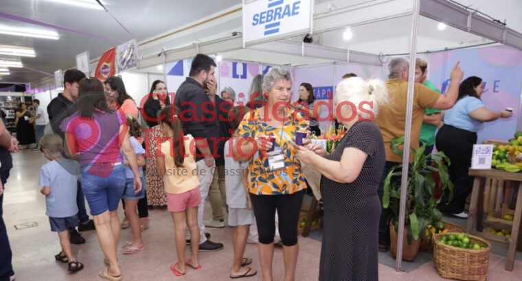 Decola 2026 abre oportunidades para empresas da região ampliarem mercados com apoio do Sebrae