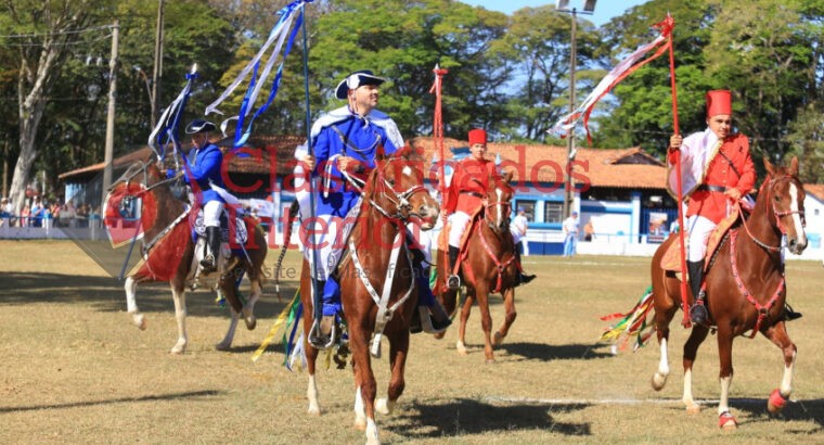 Sebrae