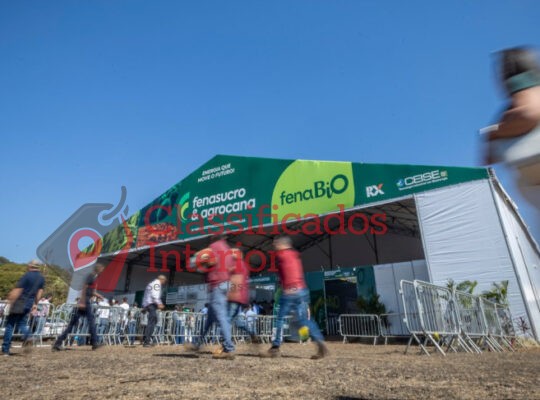 Sebrae
