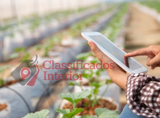 Produtores rurais do Vale do Ribeira podem se inscrever em programa de inovação do Sebrae