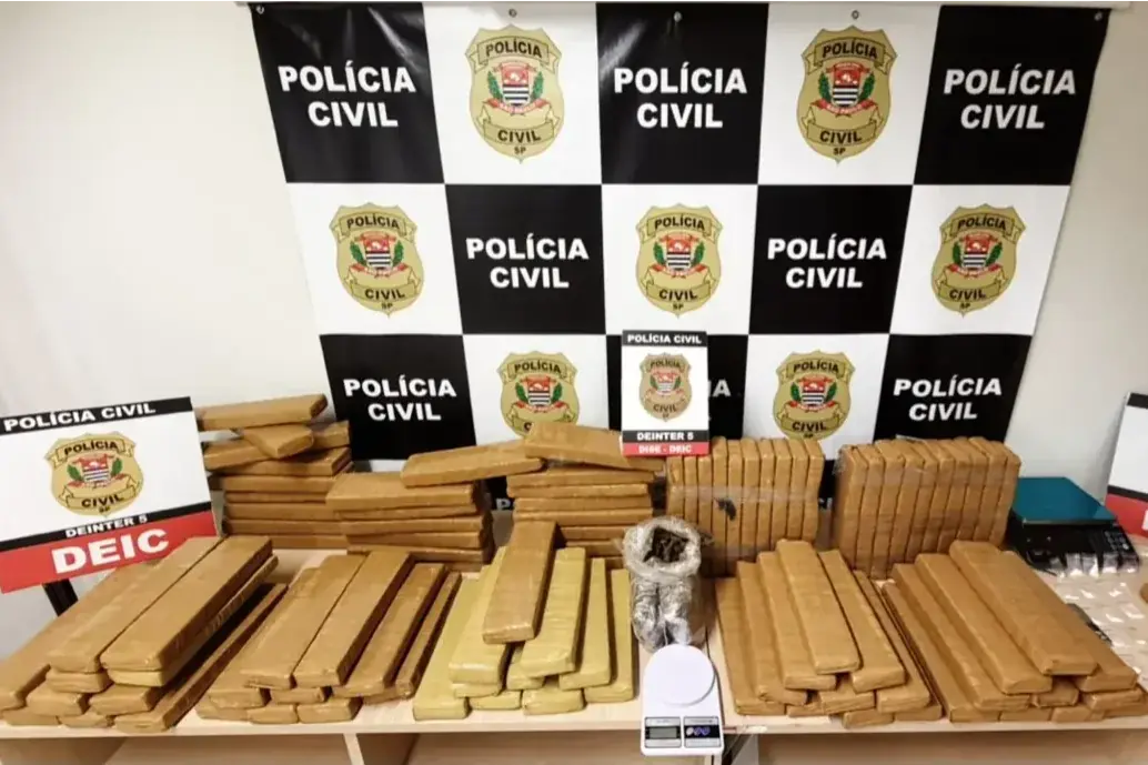 Dise localiza 120 quilos de maconha em casa no João Paulo II, em Rio Preto