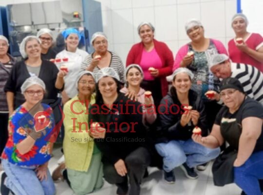 Curso gratuito de fabricação de cupcakes e bolos caseiros capacita participantes em Pratânia