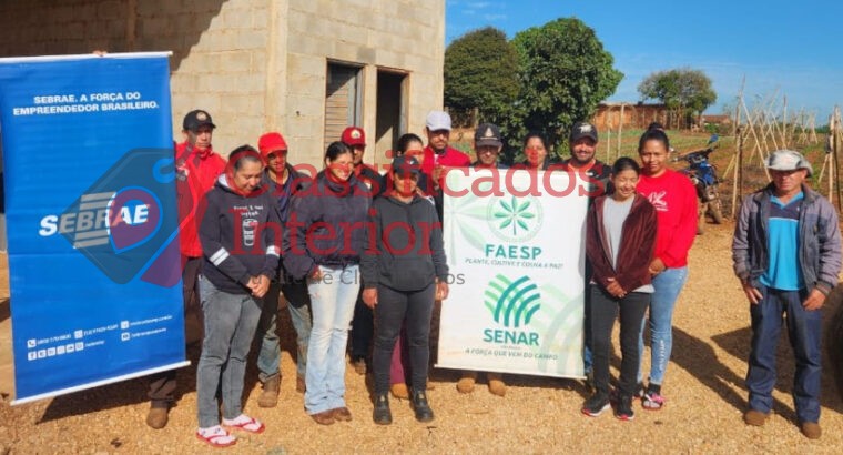 Sebrae